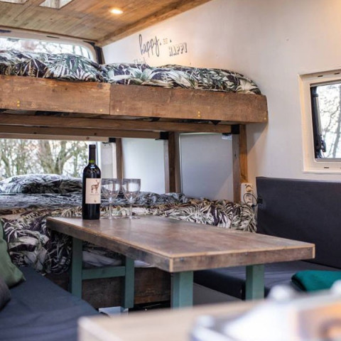 Camper pioneer portfolio